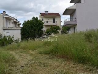 ΑΠΟΨΗ ΟΙΚΟΠΕΔΟΥ