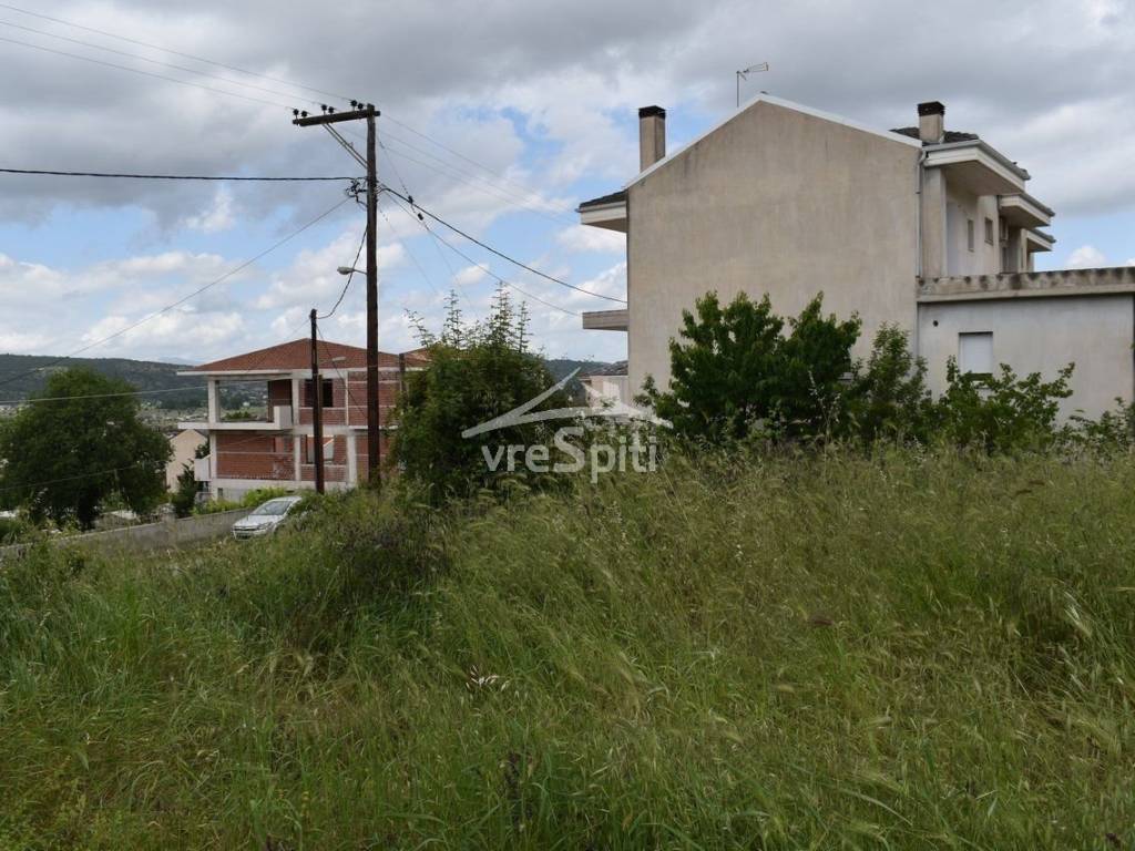 ΑΠΟΨΗ ΟΙΚΟΠΕΔΟΥ