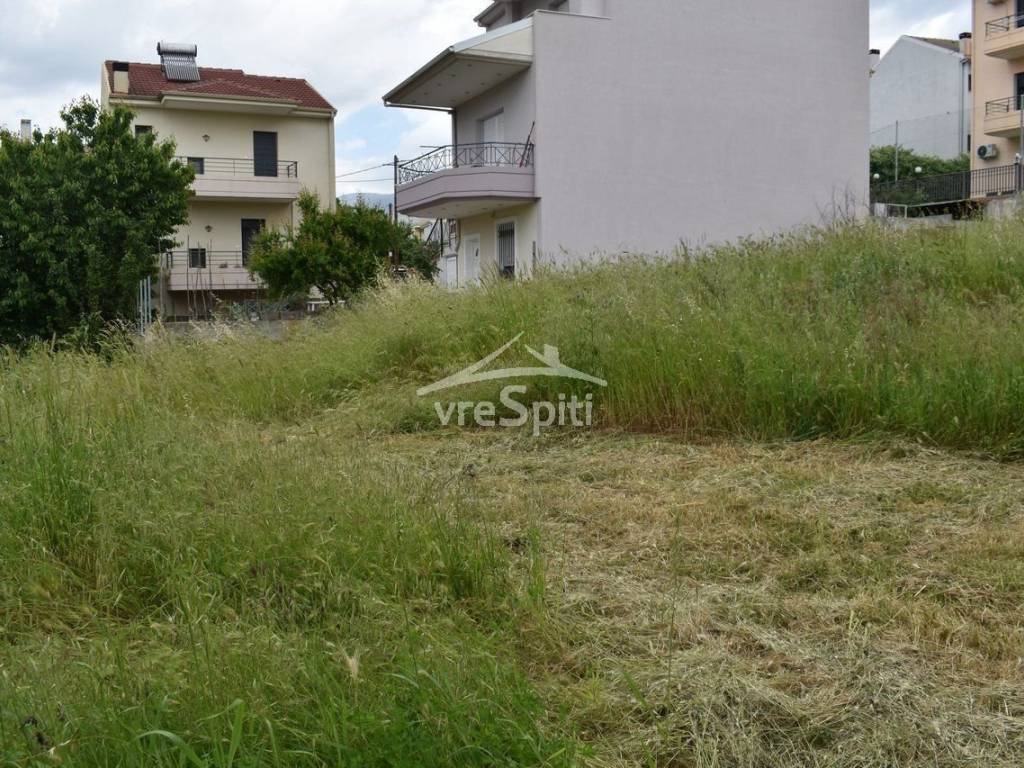 ΑΠΟΨΗ ΟΙΚΟΠΕΔΟΥ