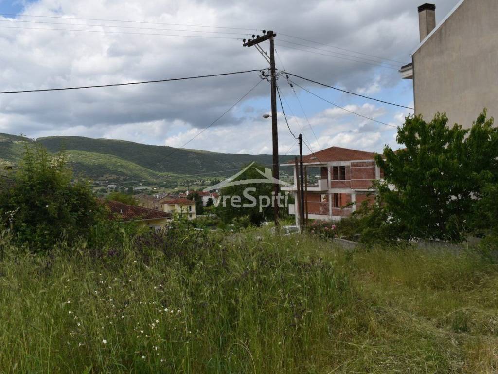 ΑΠΟΨΗ ΟΙΚΟΠΕΔΟΥ