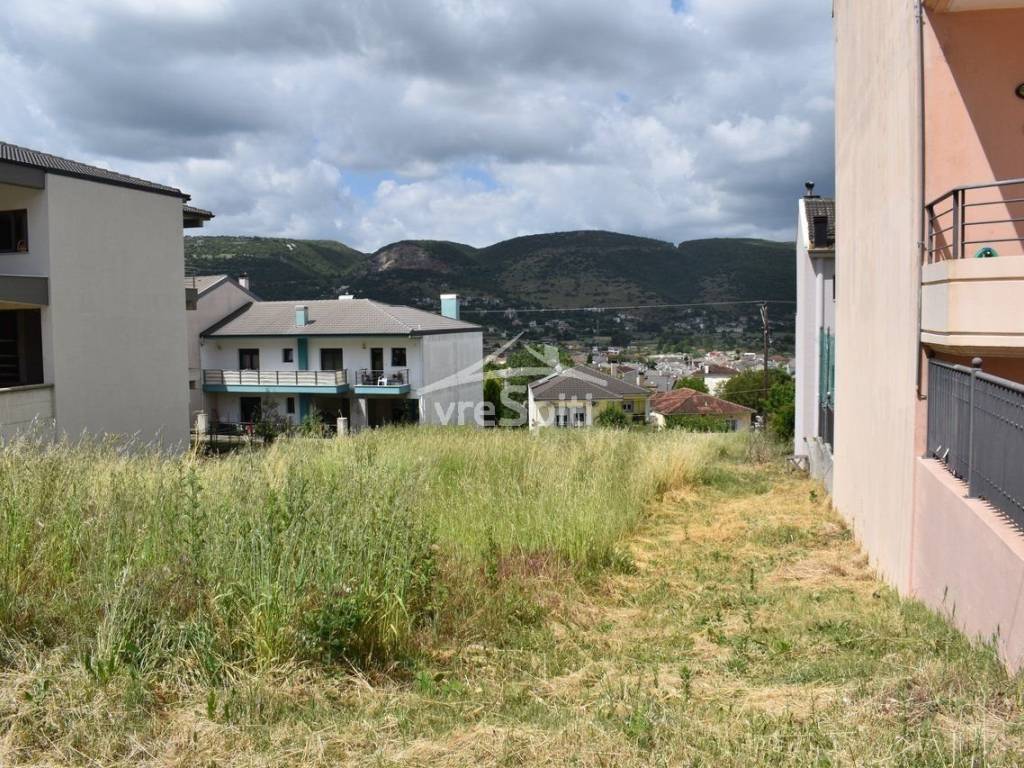 ΑΠΟΨΗ ΟΙΚΟΠΕΔΟΥ