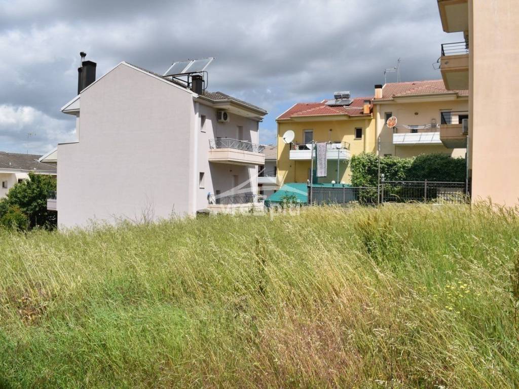 ΑΠΟΨΗ ΟΙΚΟΠΕΔΟΥ