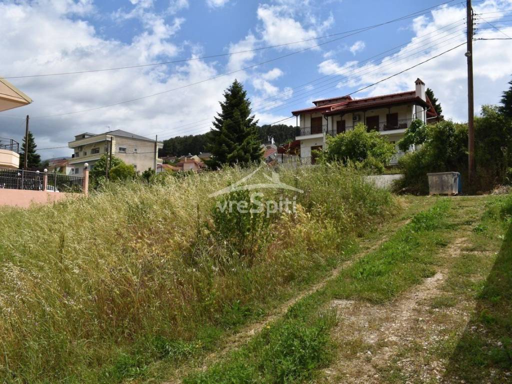 ΑΠΟΨΗ ΟΙΚΟΠΕΔΟΥ