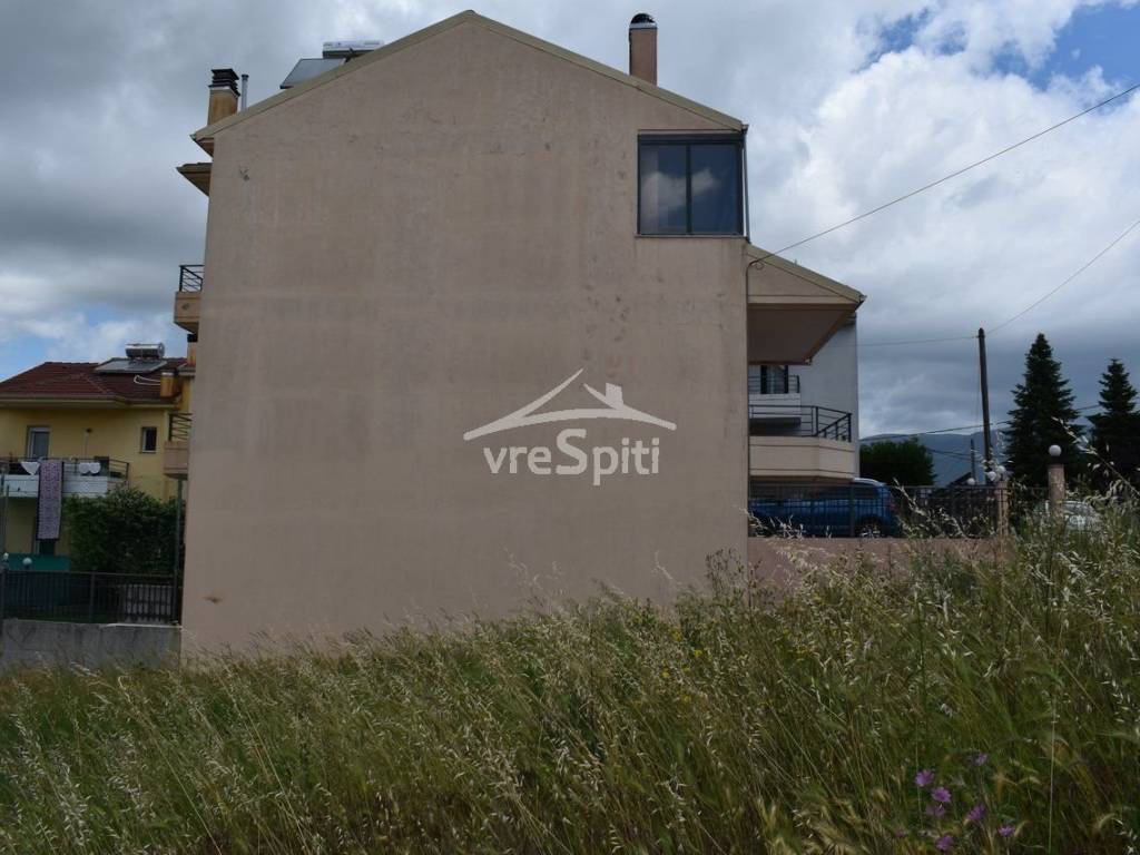 ΑΠΟΨΗ ΟΙΚΟΠΕΔΟΥ