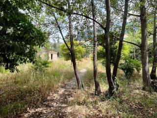 center_land_plot_for_sale