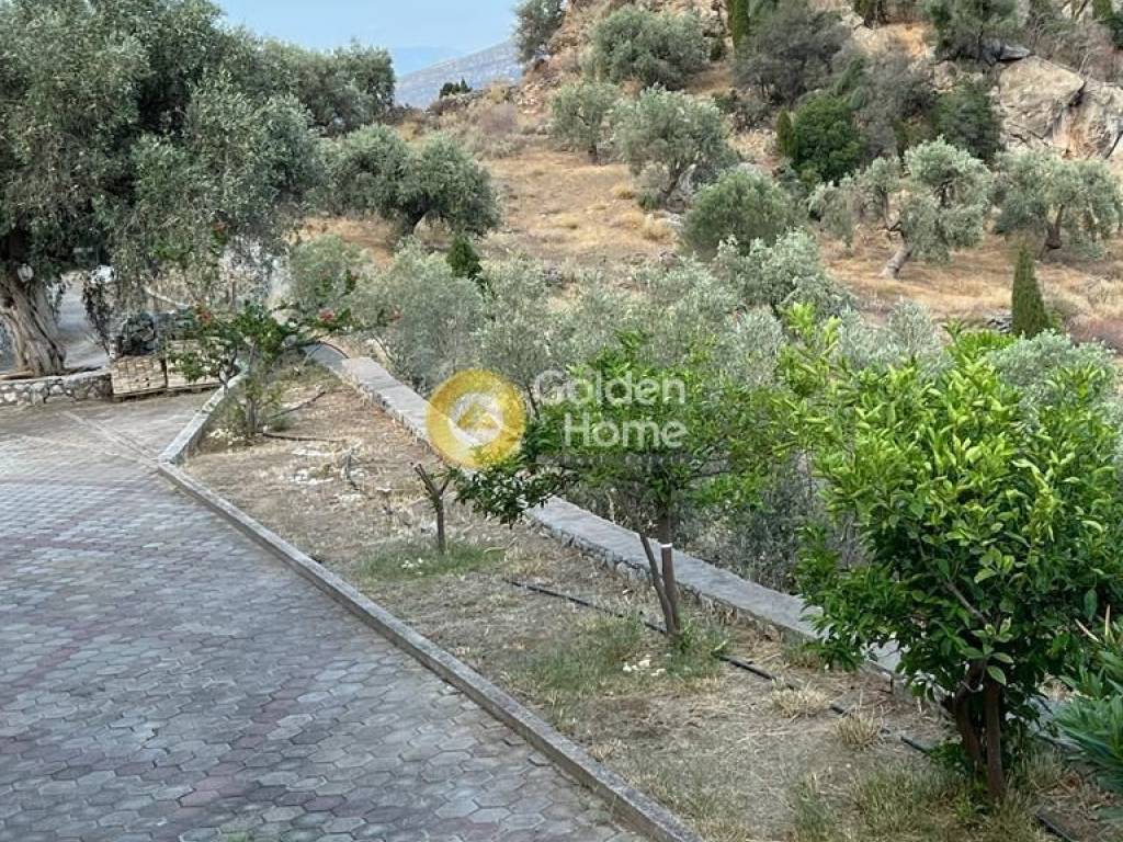 Εξωτερικός Χώρος