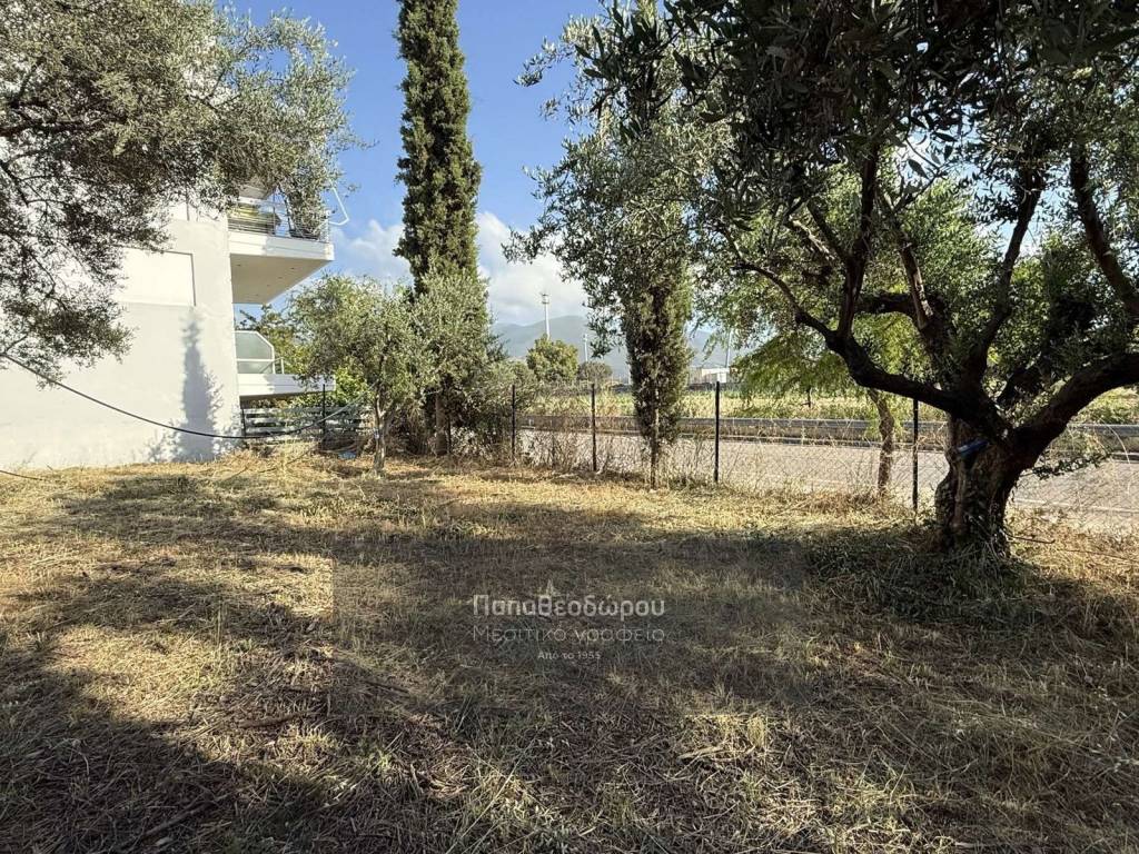 Εξωτερικοι χώροι