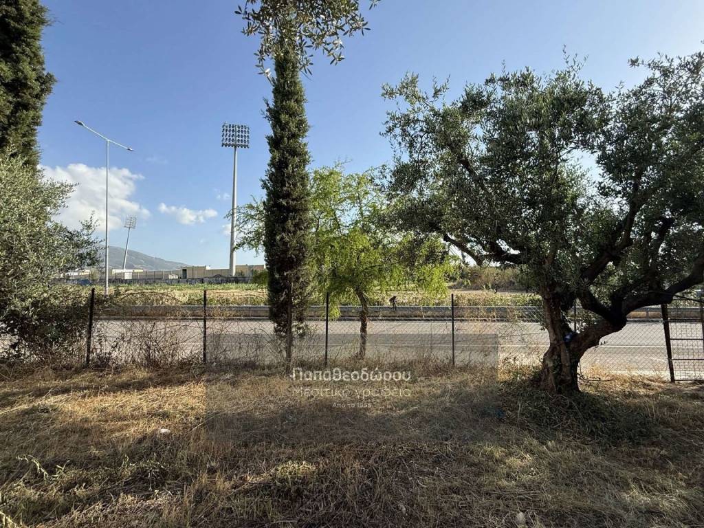 Εξωτερικοι χώροι