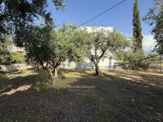 Εξωτερικοι χώροι