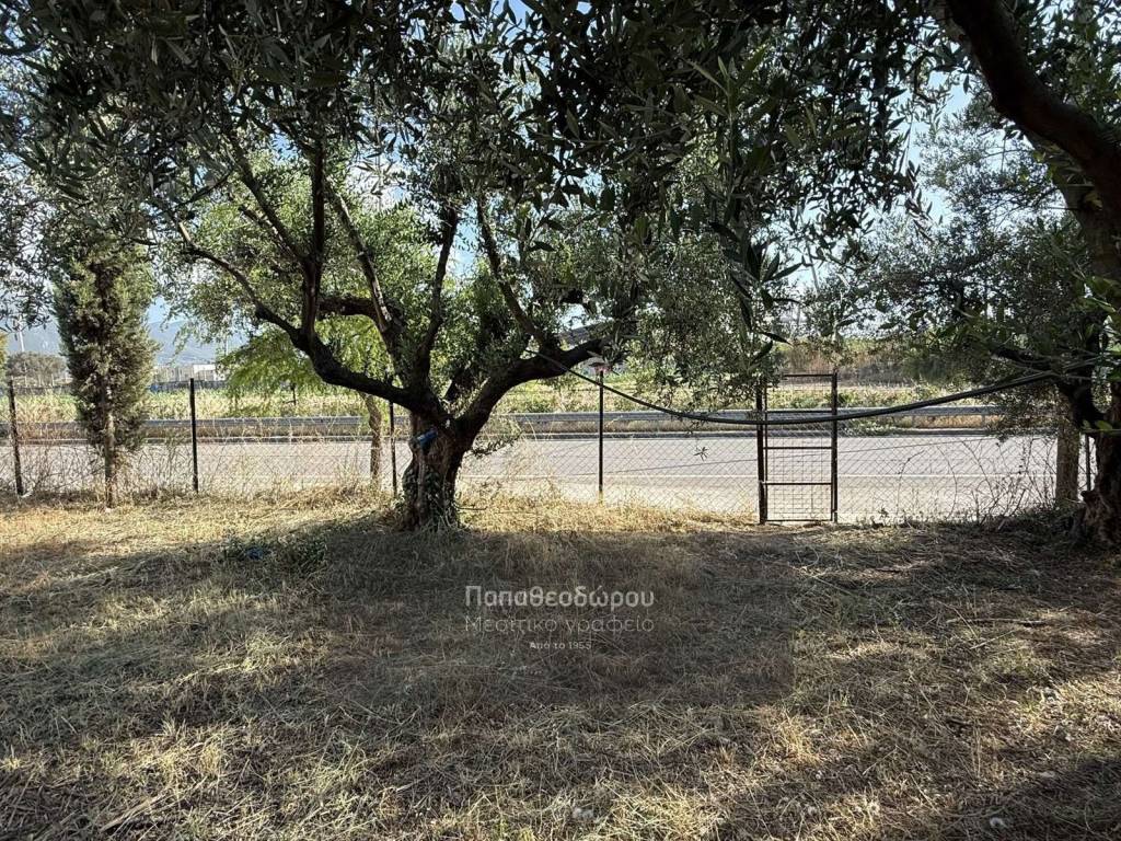 Εξωτερικοι χώροι