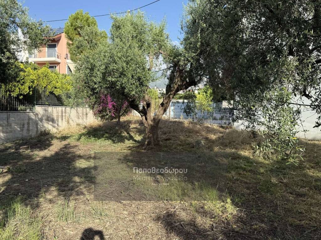 Εξωτερικοι χώροι