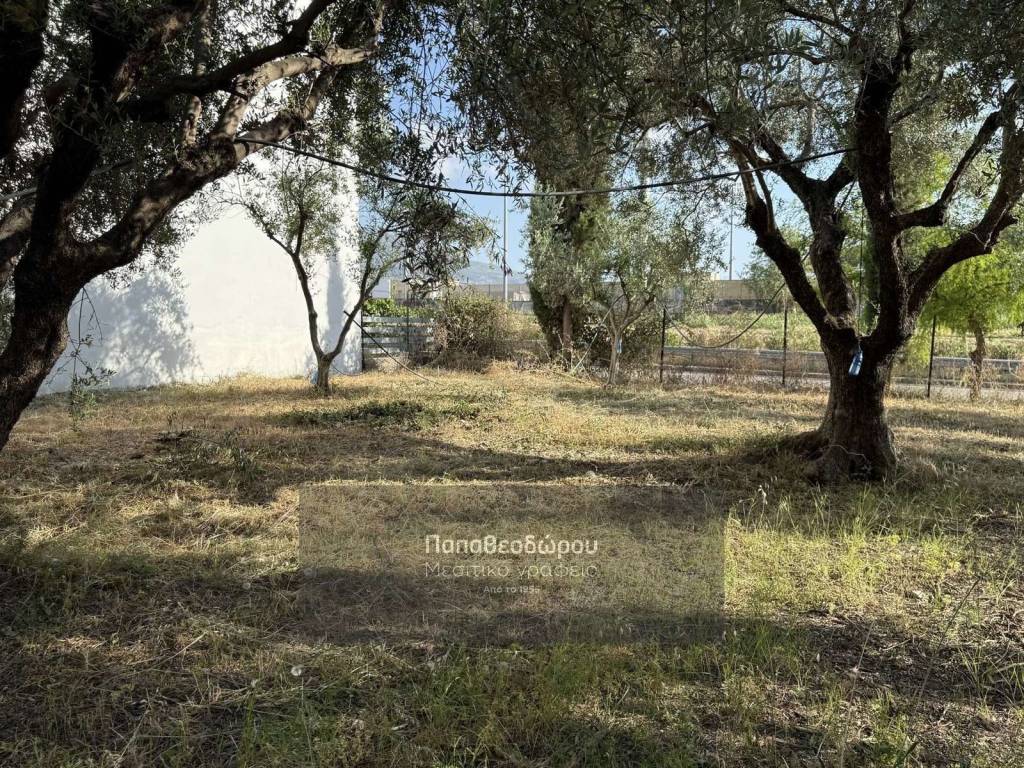 Εξωτερικοι χώροι