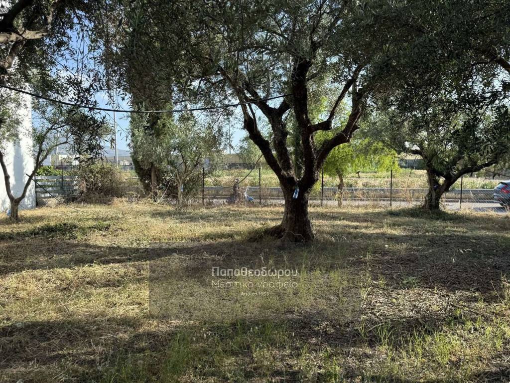 Εξωτερικοι χώροι