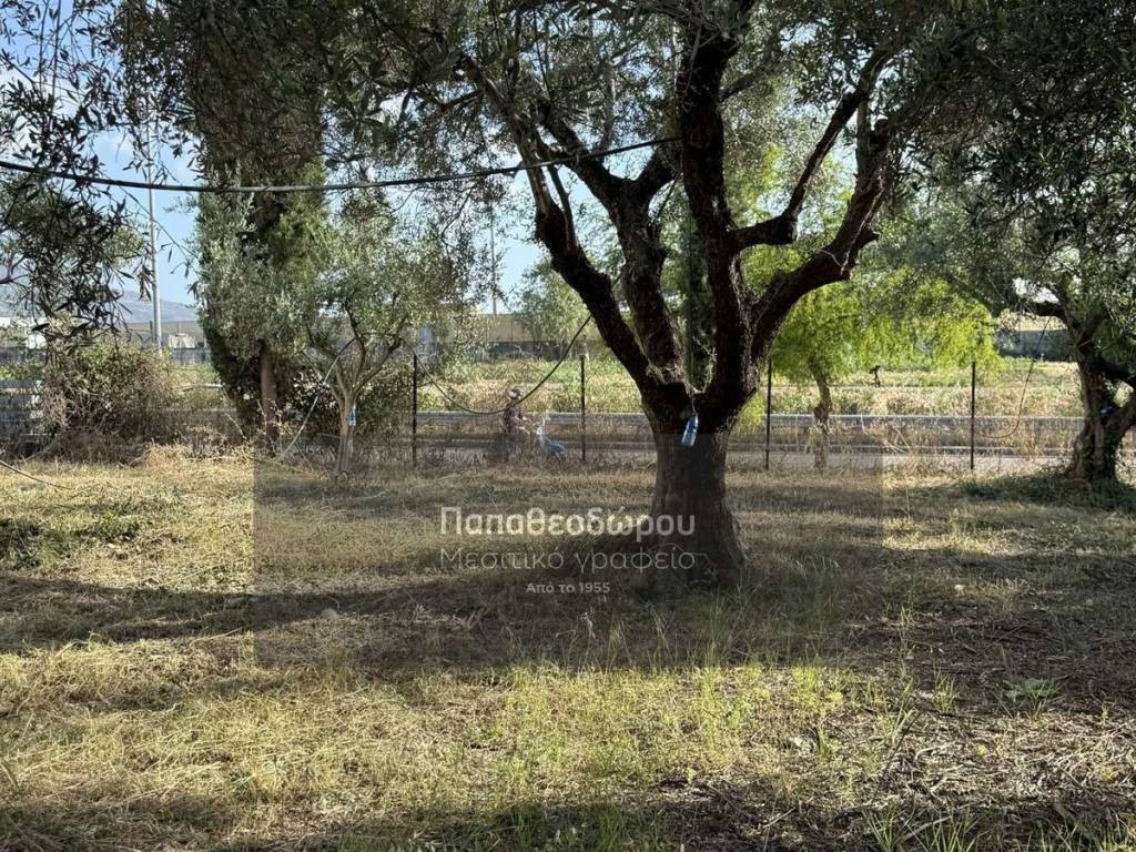 Εξωτερικοι χώροι