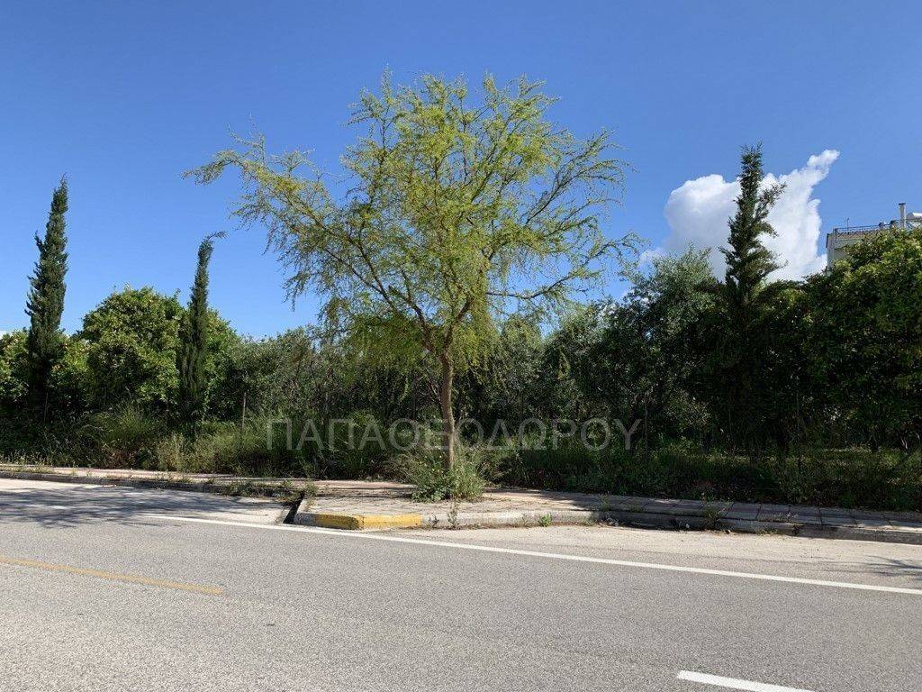 Εξωτερικοι χώροι