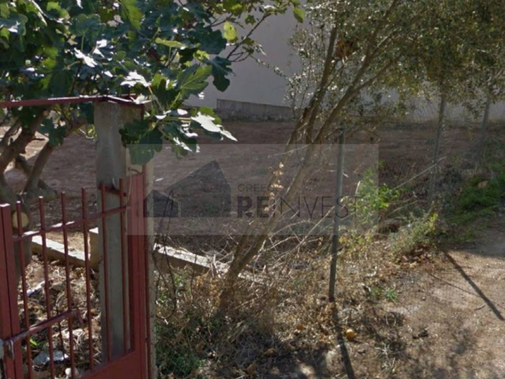 Εξωτερικοι χώροι