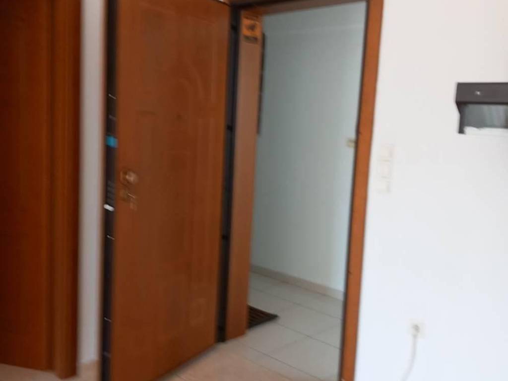 eisodos diamerismatos