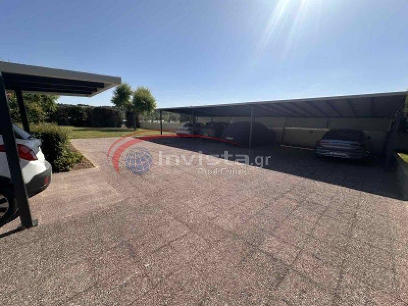 Ύπαρξη ανθρώπου