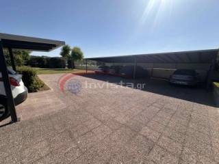 Ύπαρξη ανθρώπου