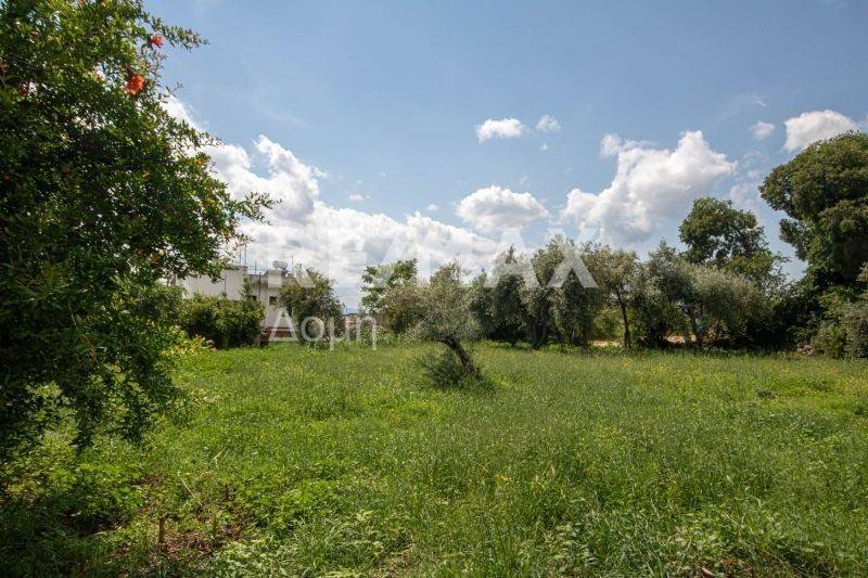 Άποψη χώρου