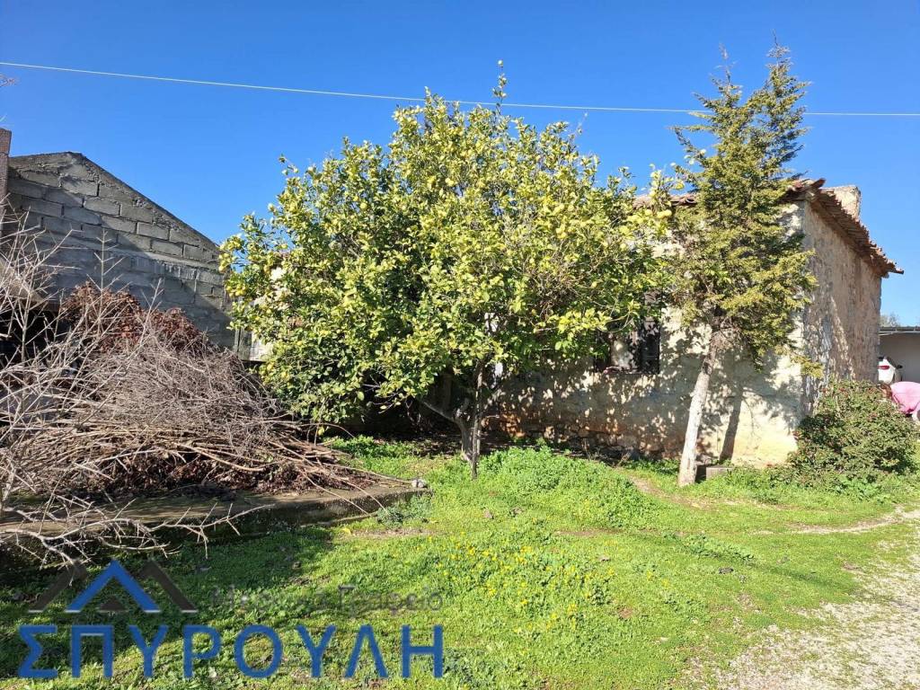 Εξωτερικοι χώροι