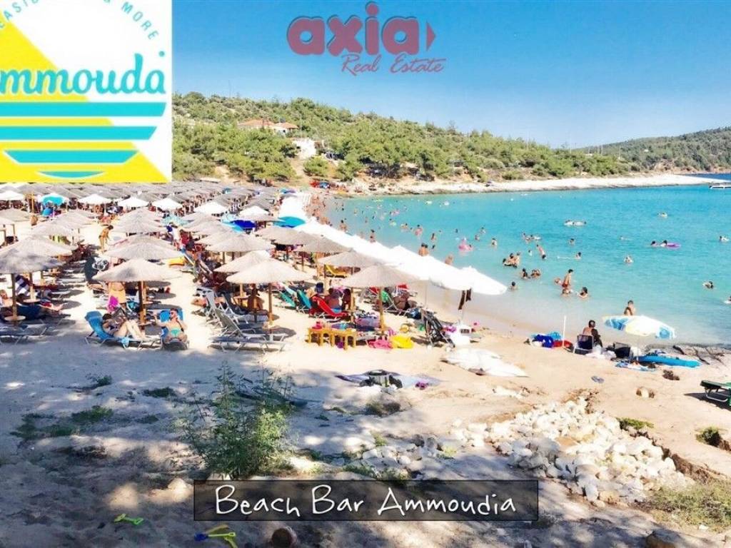 ISLAND THASSOS - AREA ASTRIS 2 HOUSES IN PLOT 165 TM 1280 TM