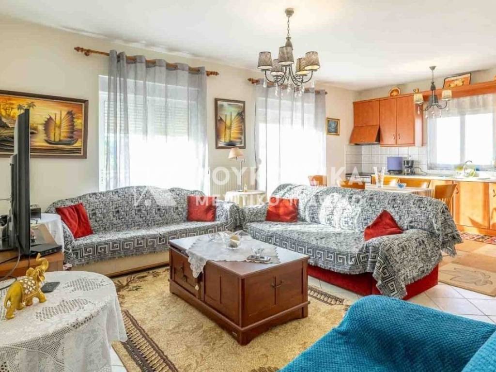 Σαλοκουζίνα