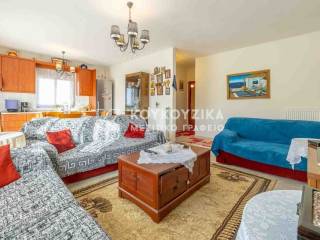 Σαλοκουζίνα