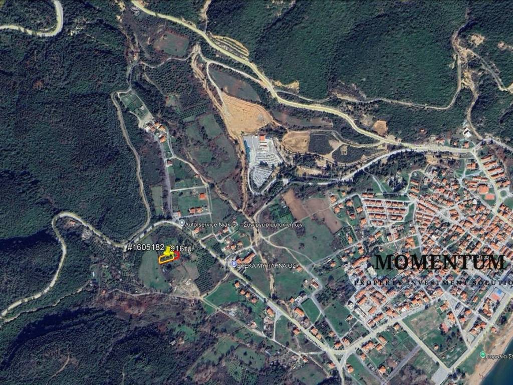 Εξωτερικοι χώροι