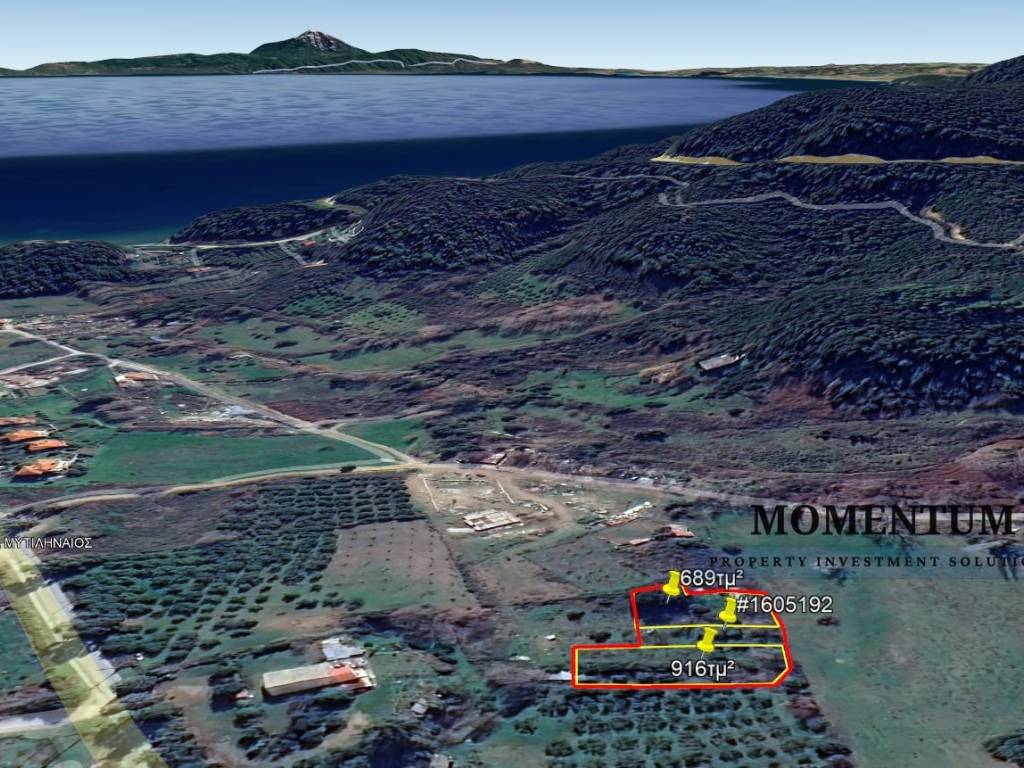 Εξωτερικοι χώροι