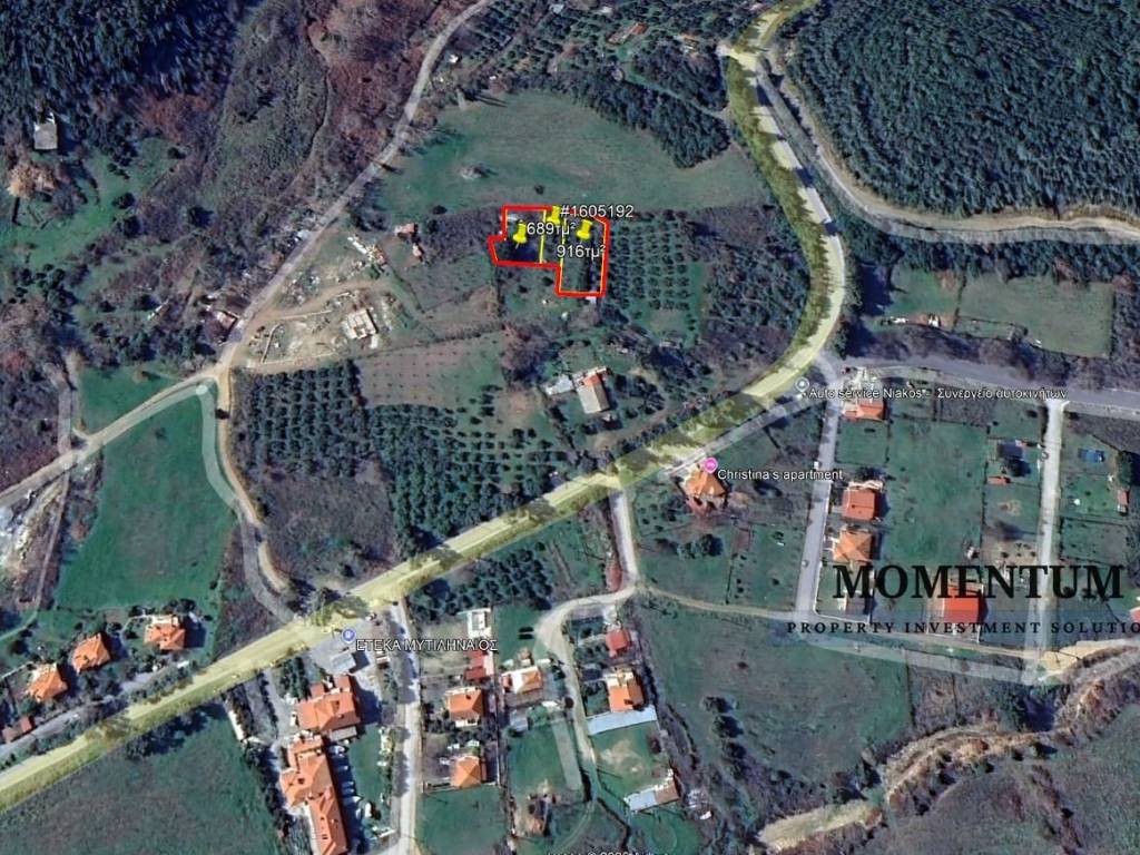 Εξωτερικοι χώροι