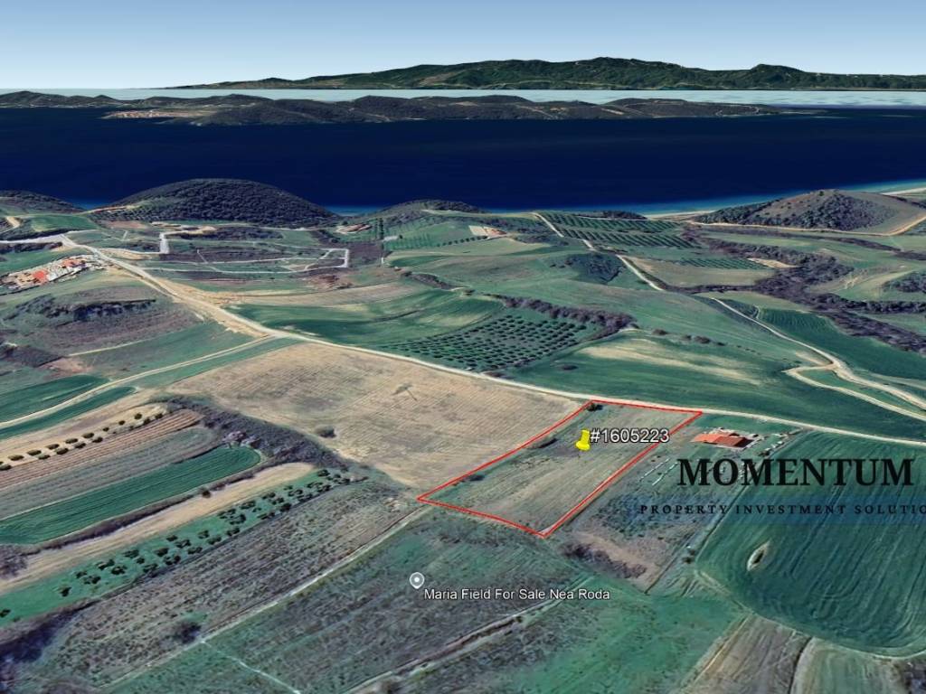 Εξωτερικοι χώροι