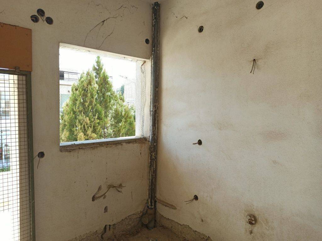 E KOYZINA TOY OROPHODIAMERISMATOS