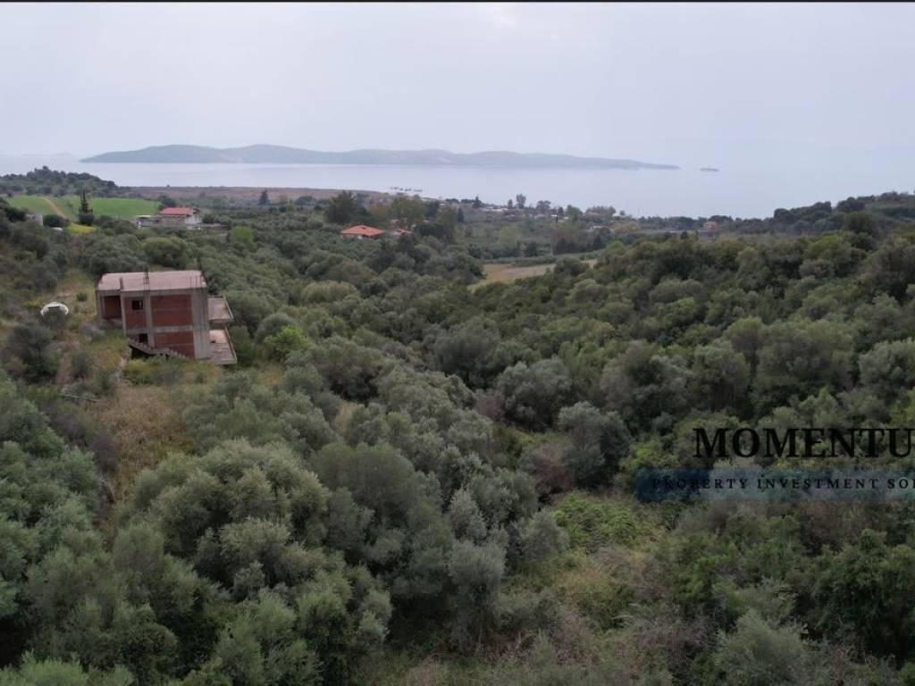 Εξωτερικοι χώροι