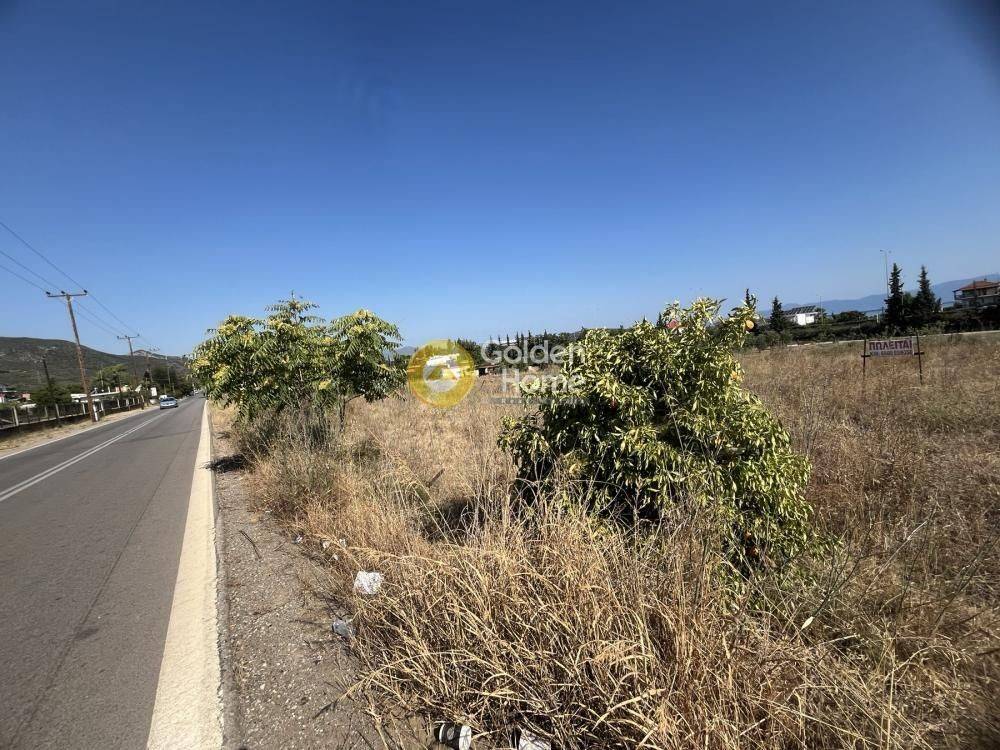 Εξωτερικός Χώρος