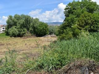 ΑΠΟΨΗ ΟΙΚΟΠΕΔΟΥ