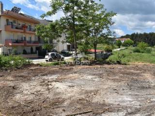 ΑΠΟΨΗ ΟΙΚΟΠΕΔΟΥ