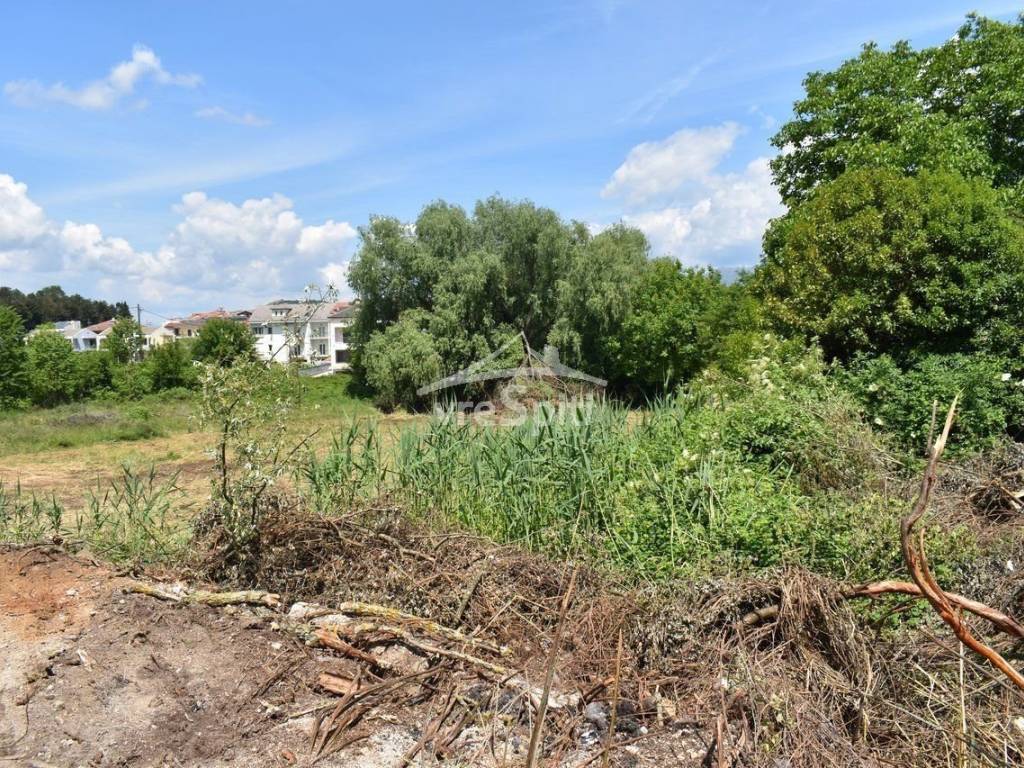 ΑΠΟΨΗ ΟΙΚΟΠΕΔΟΥ