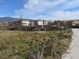 ΑΠΟΨΗ ΟΙΚΟΠΕΔΟΥ