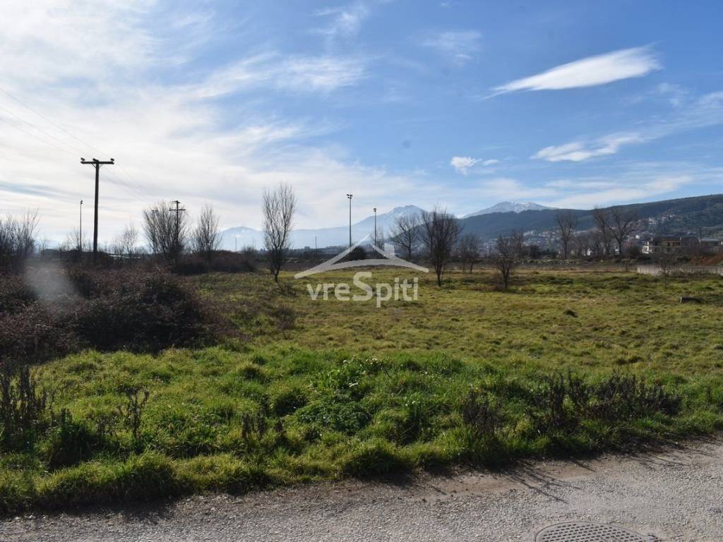 ΑΠΟΨΗ ΟΙΚΟΠΕΔΟΥ