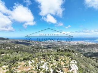 Η καταπληκτική θέα από το αγροτεμάχιο