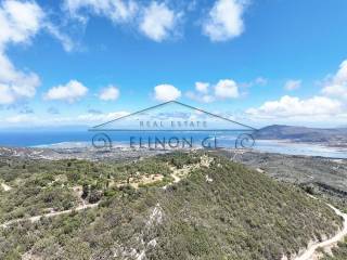 Η καταπληκτική θέα από το αγροτεμάχιο