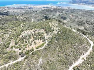 Το αγροτεμάχιο από ψηλά