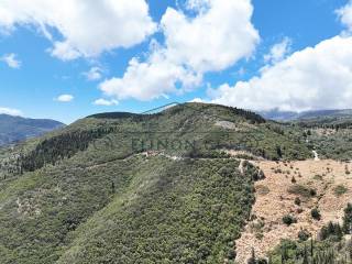 Το αγροτεμάχιο από ψηλά