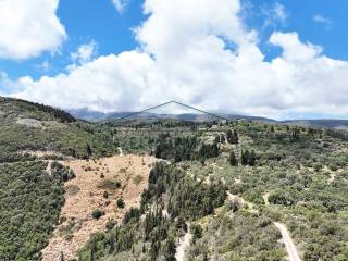 To agrotemachio apo psela