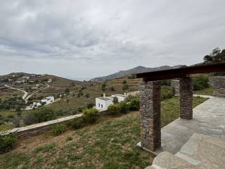 IMG_6913.jpeg