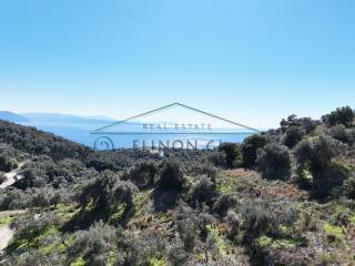 Η όμορφη θέα από το αγροτεμάχιο