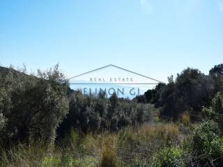 Η όμορφη θέα από το αγροτεμάχιο