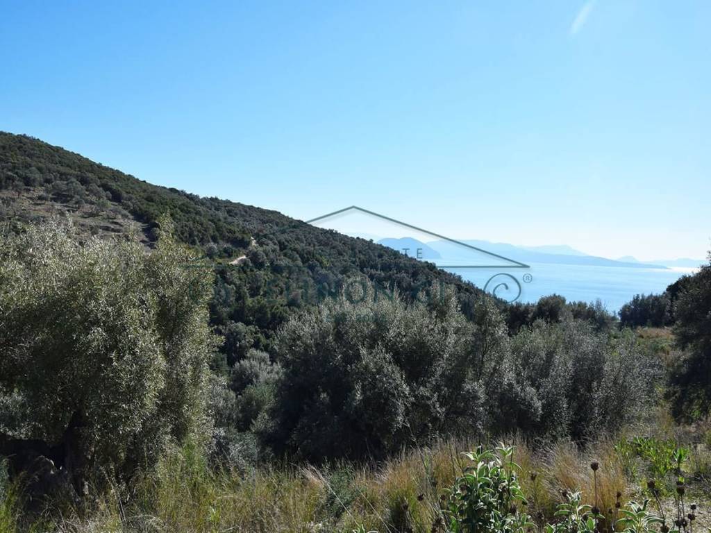 Η όμορφη θέα από το αγροτεμάχιο