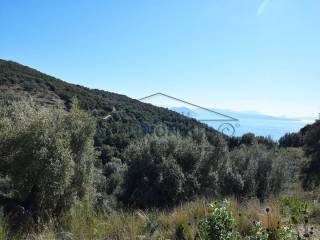 Η όμορφη θέα από το αγροτεμάχιο